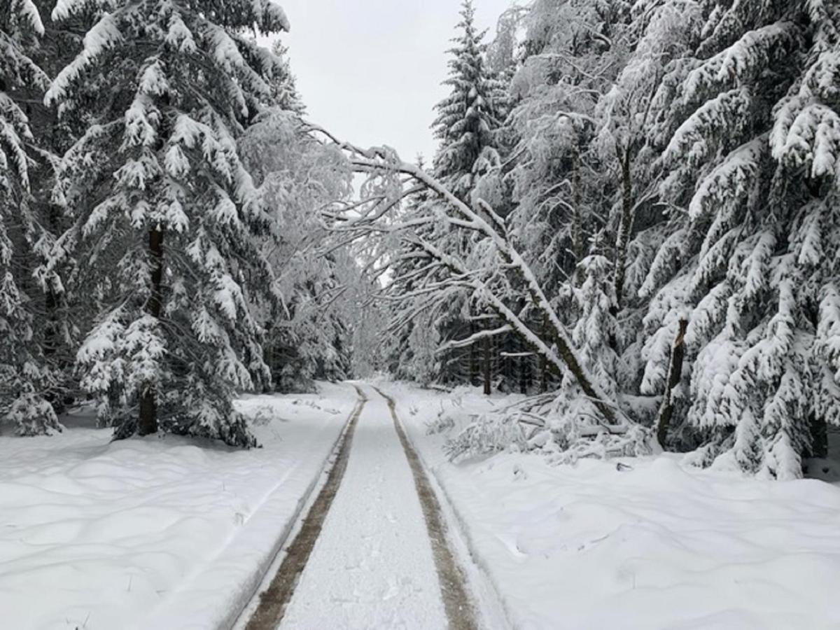 Ferienwohnung Bergstrasse Winterberg Exteriör bild